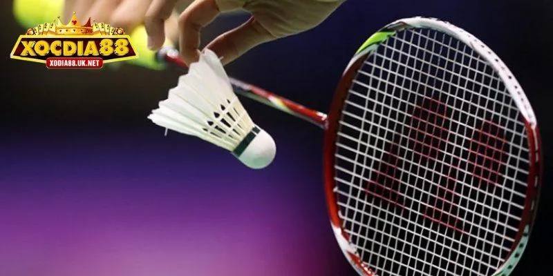 Cầu lông đang trở thành lựa chọn chiến lược