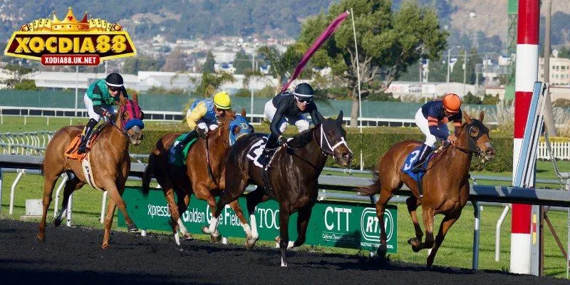 Đặt cược đua ngựa online tại Xocdia88