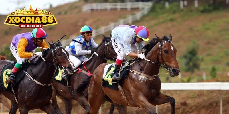 Đặt cược đua ngựa online
