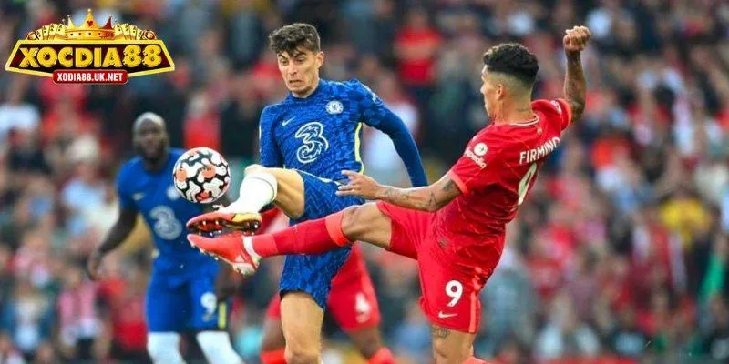 Điều cần biết trước khi xem bóng đá trực tiếp online