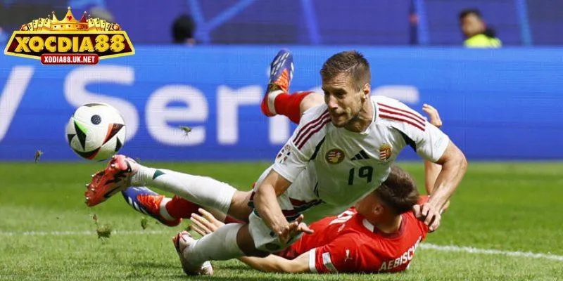 Hướng dẫn phân tích kèo bóng đá trực tiếp