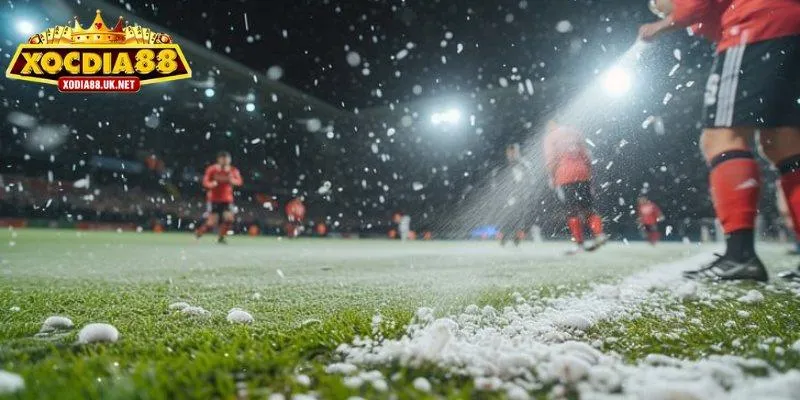 Khái niệm kèo châu Âu có gì cần biết?