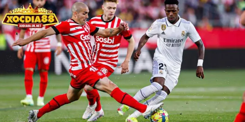 Luật chơi và cách hiểu đúng kèo 1/2 là gì