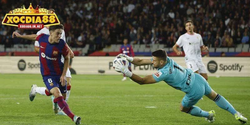 Mẹo đọc kèo 1/2 là gì để luôn làm chủ cuộc chơi