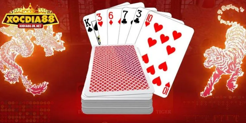 Mẹo và thủ thuật chơi rồng hổ Xocdia88