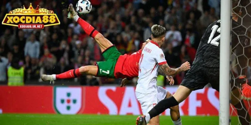 Một số thông tin cơ bản về kèo 1/2 là gì