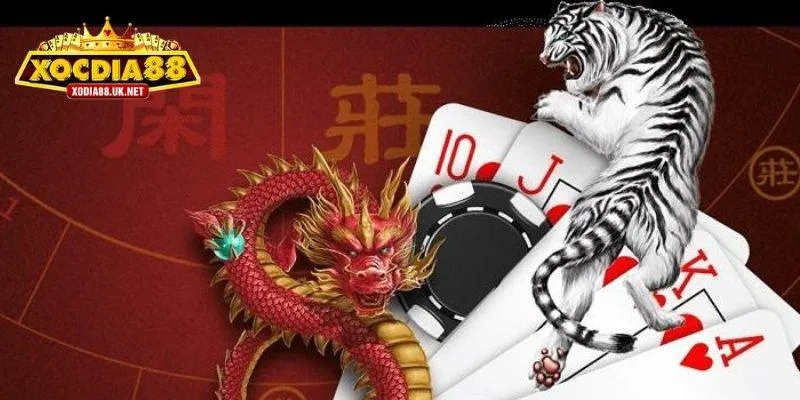 Rồng Hổ Xocdia88