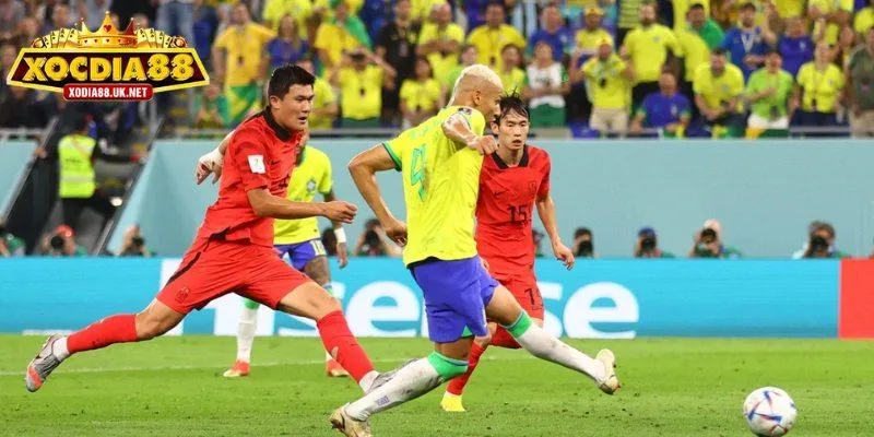 Thông tin cơ bản khi phân tích kèo tài xỉu cá độ bóng đá