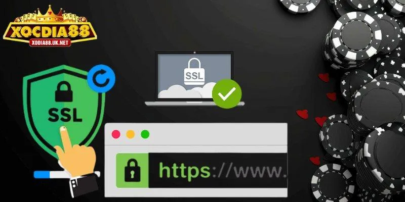 Thông tin cơ bản về việc truy cập Xocdia88