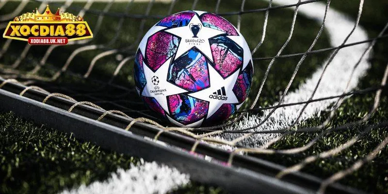 Xem bóng đá trực tiếp online